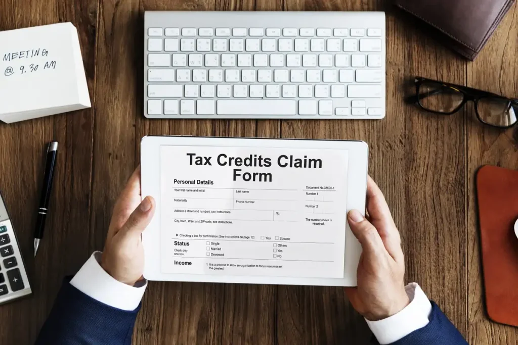 tax credit software